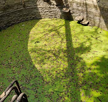 farm well cleaning